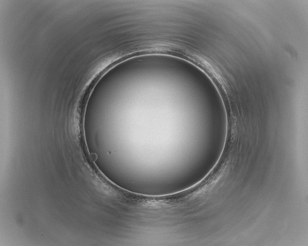 X0000116510835200912091447