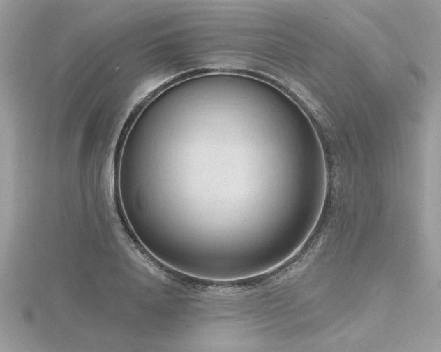 X0000116510840200912091447