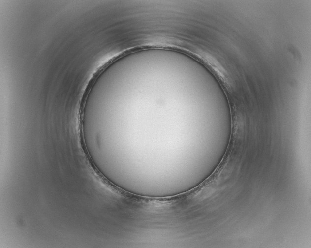 X0000116510848200912091447