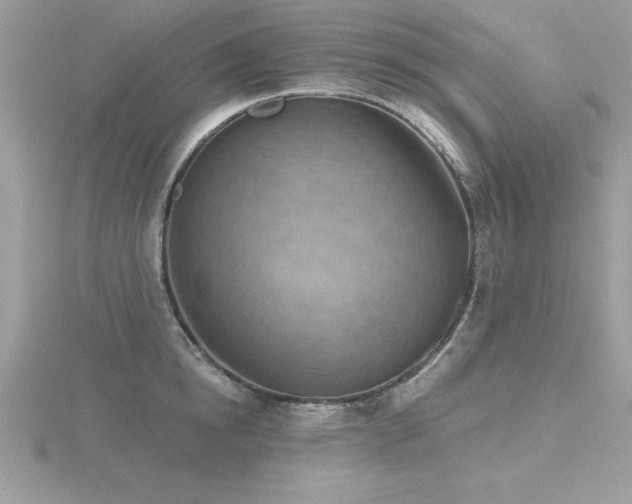 X0000116510854200912091447