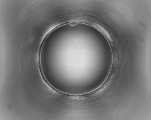 X0000116510855200912091447