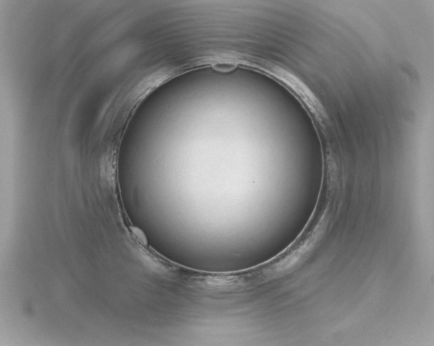 X0000116510857200912091447