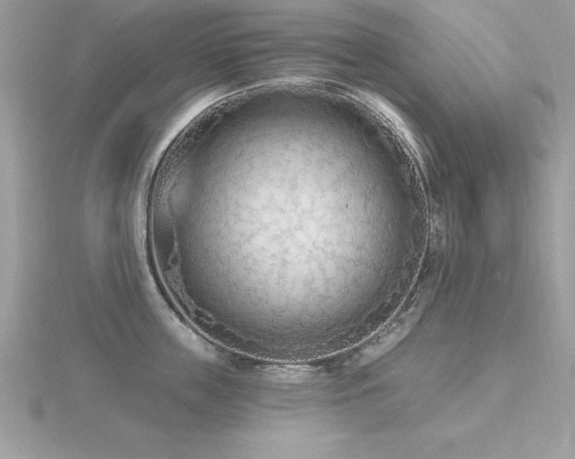 X0000116510859200912091447