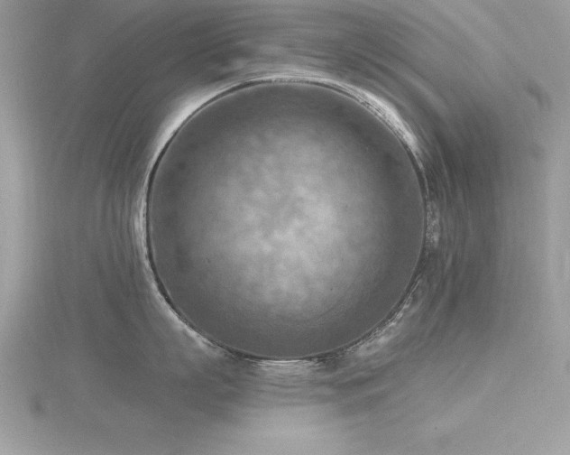 X0000116510863200912091447