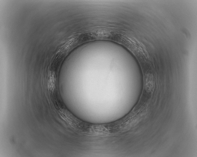 X0000116510866200912091446