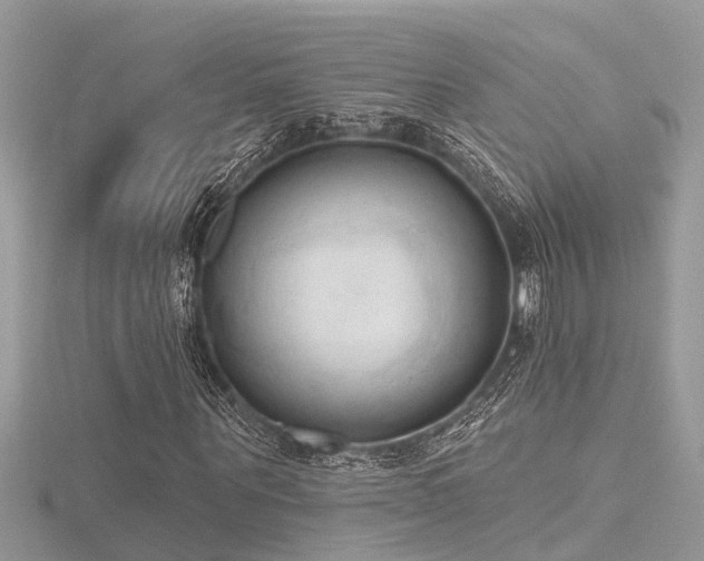 X0000116510867200912091446