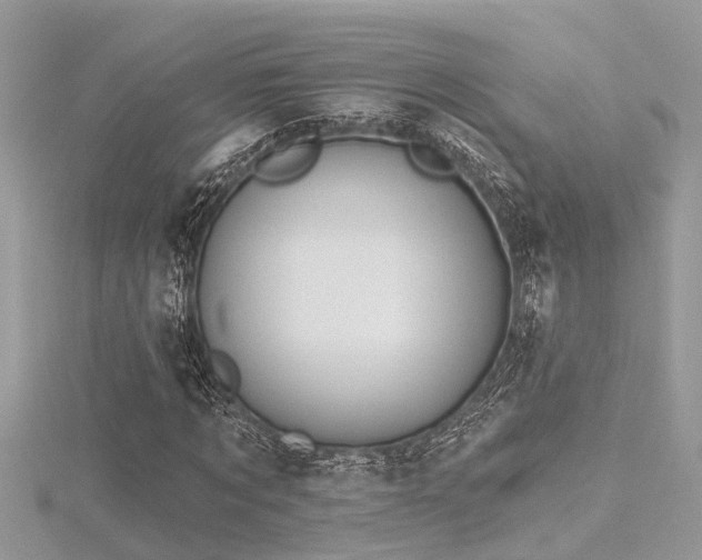 X0000116510869200912091446