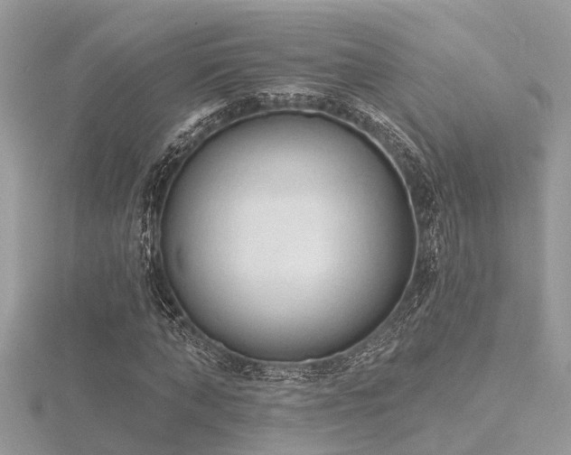 X0000116510870200912091446