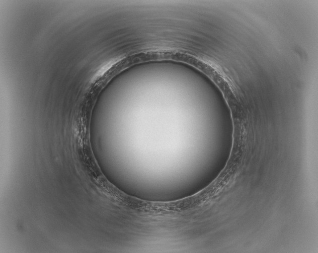 X0000116510871200912091446