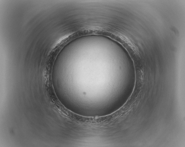 X0000116510872200912091446