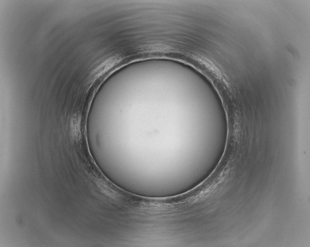 X0000116510873200912091446