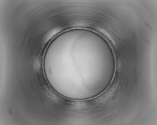 X0000116510874200912091446