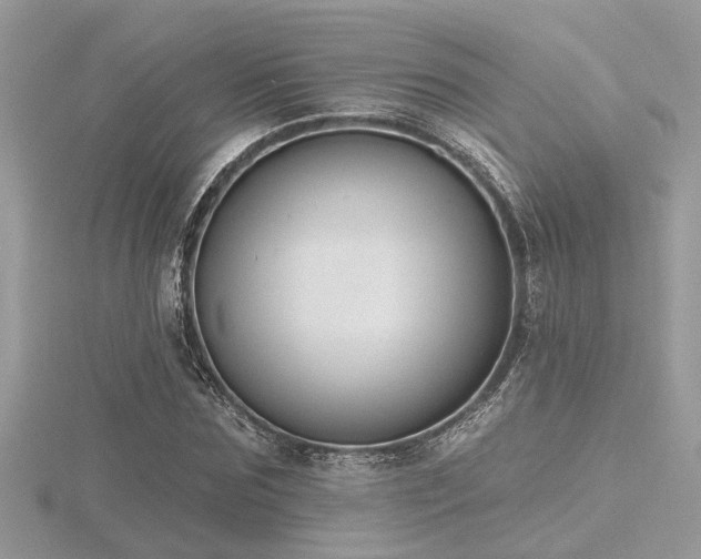 X0000116510875200912091446