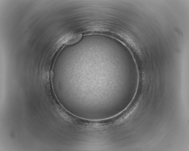 X0000116510881200912091446