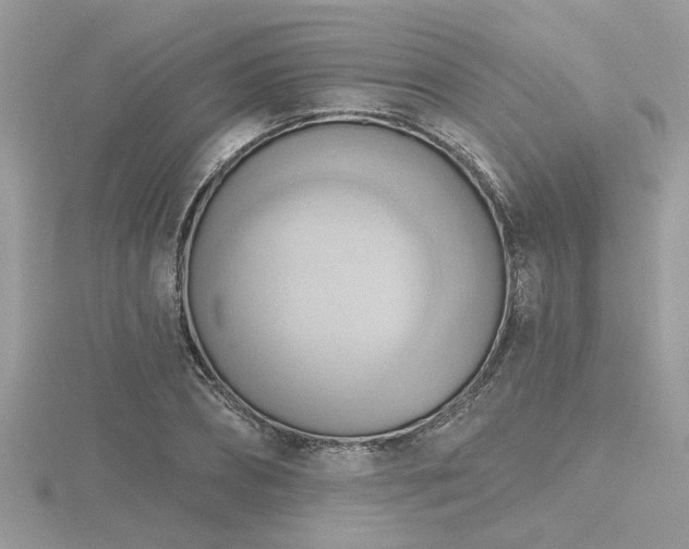 X0000116510882200912091446