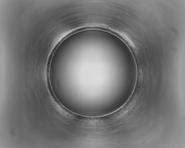 X0000116510895200912091446