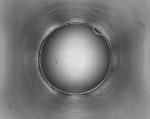 X0000116510898200912091446