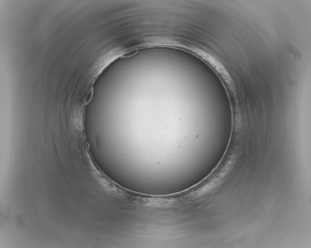X0000116510905200912091446