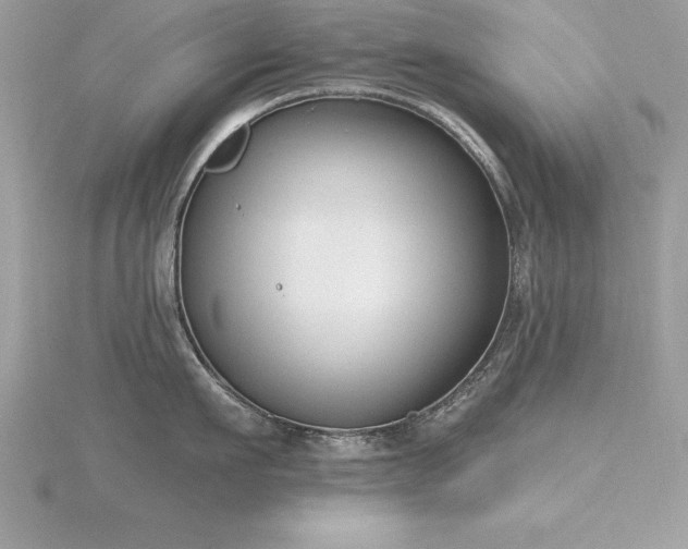 X0000116510911200912091446