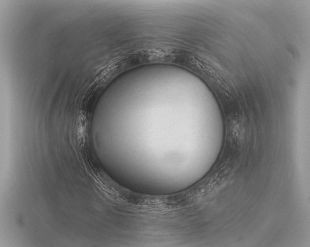 X0000116510914200912091445
