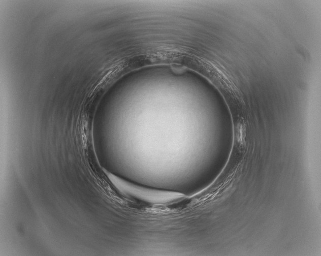 X0000116510915200912091445