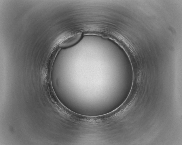 X0000116510922200912091445