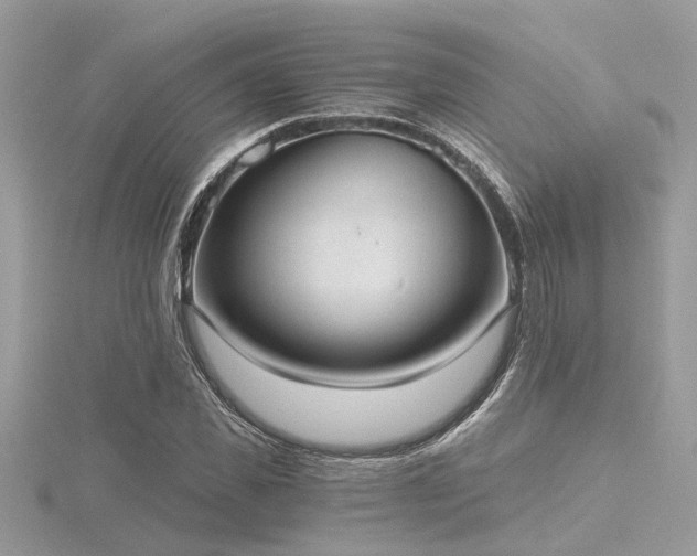 X0000116510925200912091445