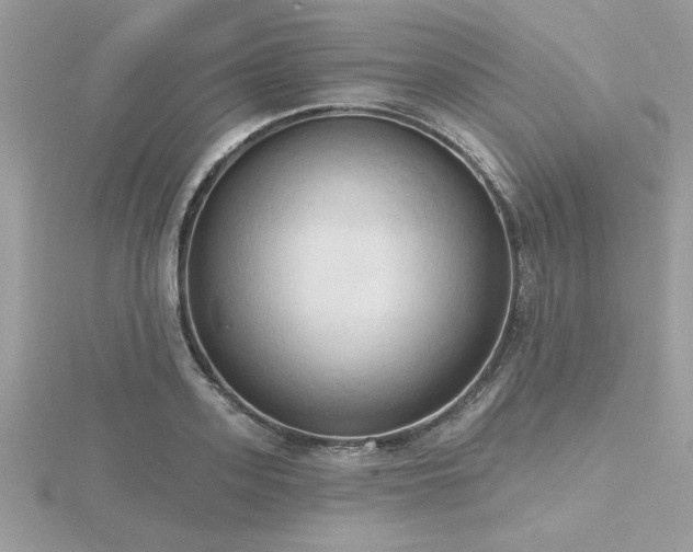 X0000116510939200912091445