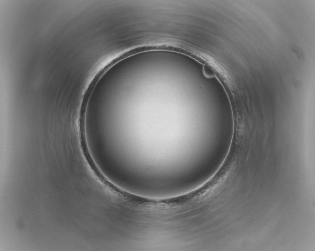 X0000116510943200912091445