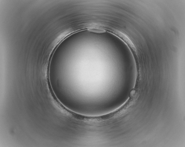 X0000116510946200912091445