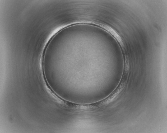 X0000116510958200912091446