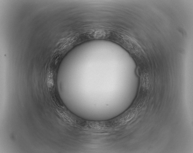 X0000116510962200912091445