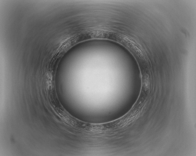 X0000116510964200912091445