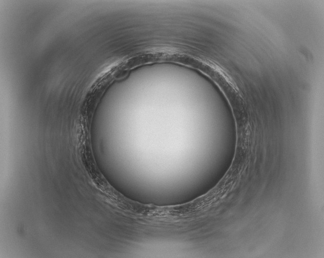 X0000116510967200912091445
