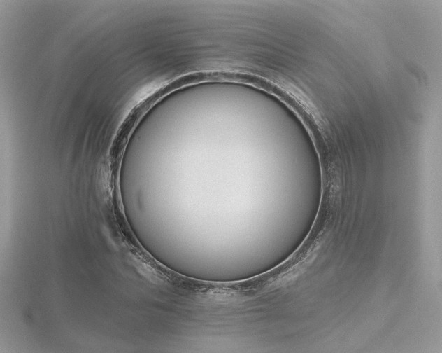 X0000116510974200912091445