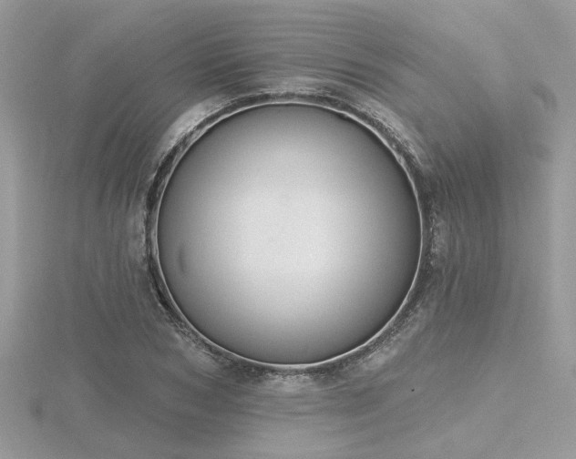 X0000116510978200912091445