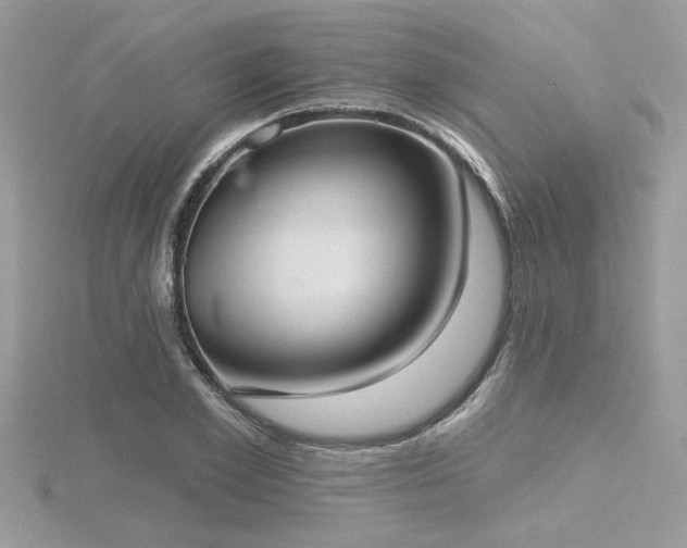 X0000116510981200912091445