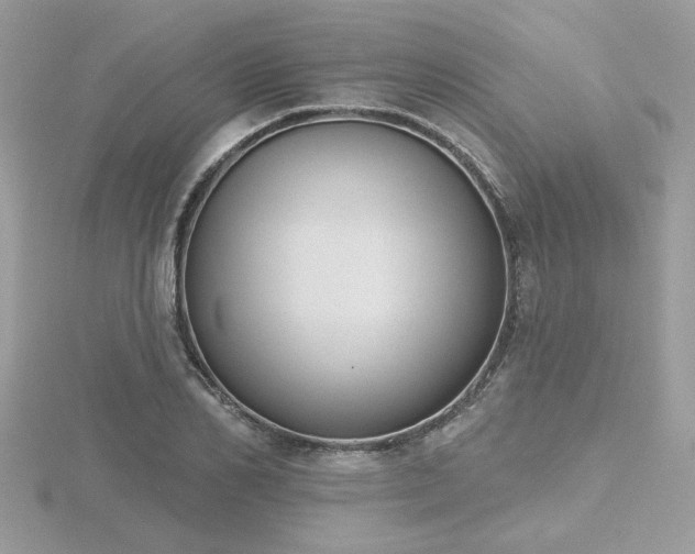 X0000116510982200912091445