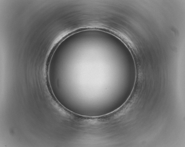 X0000116510990200912091444