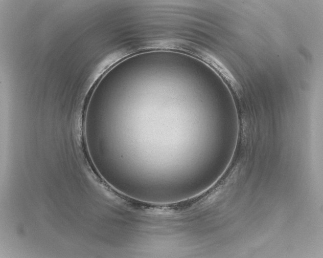 X0000116510994200912091444