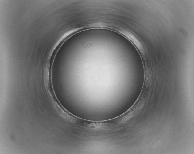 X0000116511000200912091444