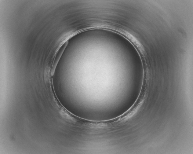 X0000116511001200912091444