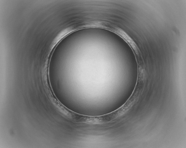 X0000116511002200912091444