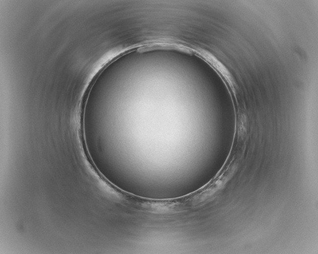 X0000116511005200912091444