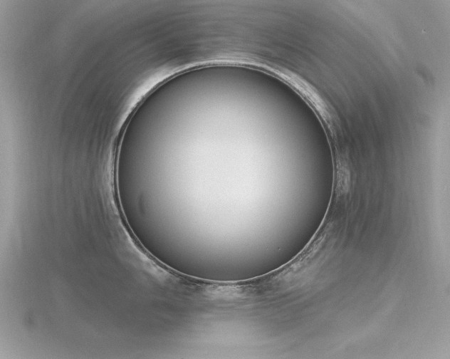 X0000116511006200912091444