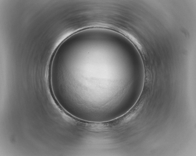 X0000116511007200912091444