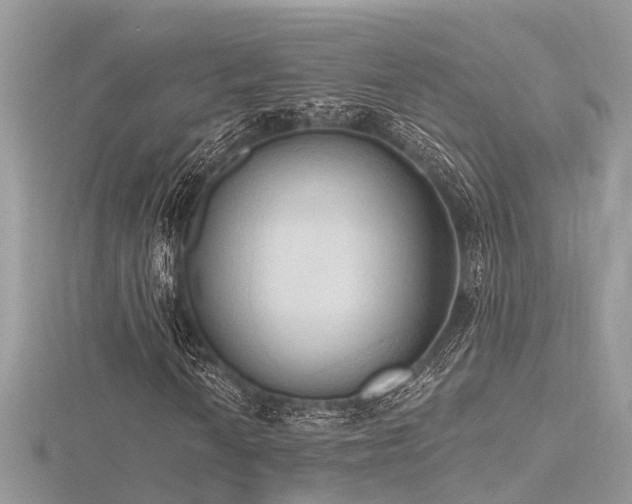 X0000116511010200912091444