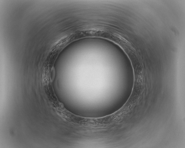 X0000116511014200912091444