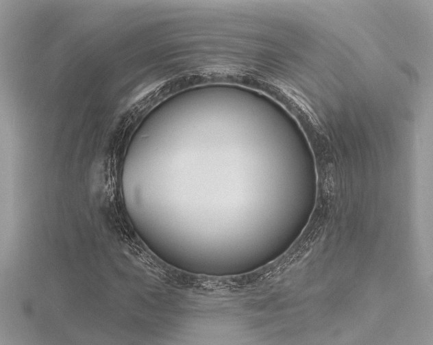 X0000116511015200912091444