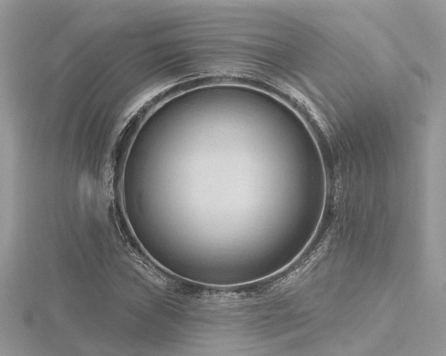 X0000116511019200912091444